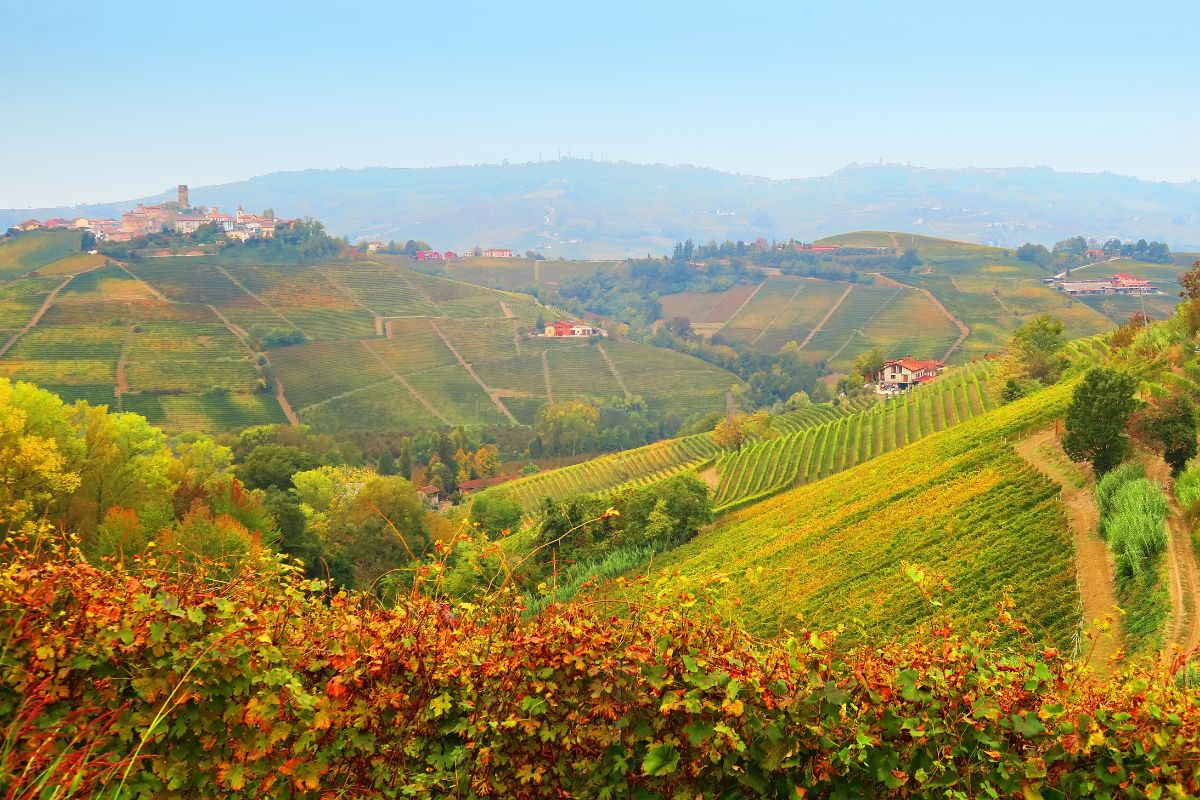 Panorama delle Langhe