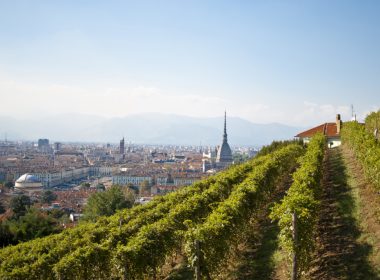 Cantine Balbiano 2