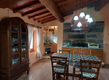 agriturismo-reggello-camelia-apartment-tuscany-10